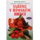 Vaříme v římském hrnci - Anneliese Eckert & Gerhard Eckert