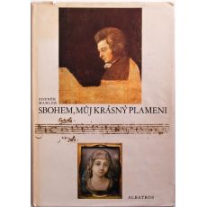 Sbohem, můj krásný plameni - Zdeněk Mahler