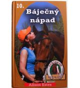 Báječný nápad - Allison Estes