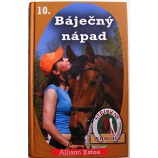 Báječný nápad - Allison Estes