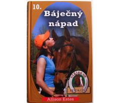 Báječný nápad - Allison Estes