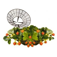 Podložka pod jahody - 10ks