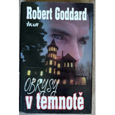 Obrysy v temnotě - Robert Goddard