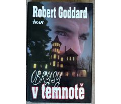 Obrysy v temnotě - Robert Goddard