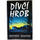 Dívčí hrob - Jeffery Deaver
