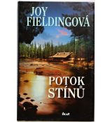 Potok stínů - Joy Fielding