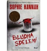 Bludná sdělení - Sophie Hannah