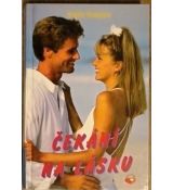 Čekání na lásku - Brigitte Blobel