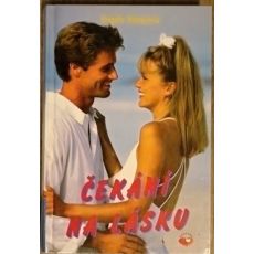 Čekání na lásku - Brigitte Blobel