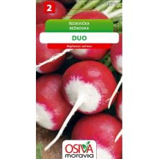 Ředkvička DUO