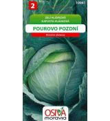Hlávkové zelí POUROVO POZDNÍ