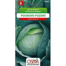 Hlávkové zelí POUROVO POZDNÍ
