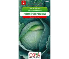 Hlávkové zelí POUROVO POZDNÍ