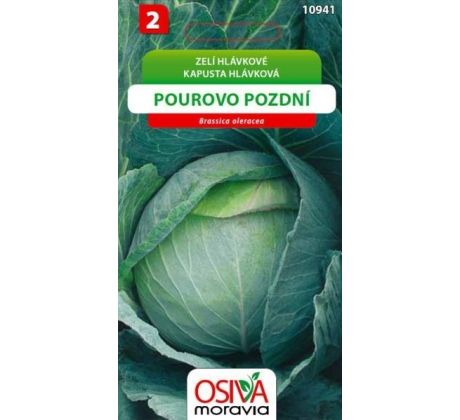 Hlávkové zelí POUROVO POZDNÍ