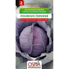 Hlávkové zelí POUROVO ČERVENÉ