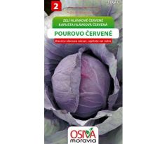 Hlávkové zelí POUROVO ČERVENÉ