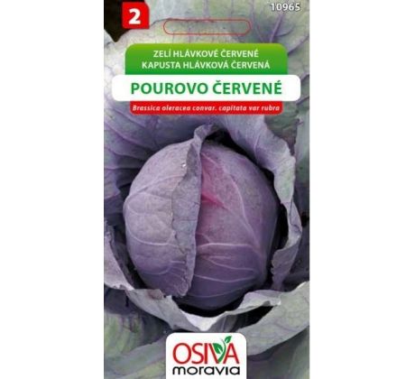 Hlávkové zelí POUROVO ČERVENÉ