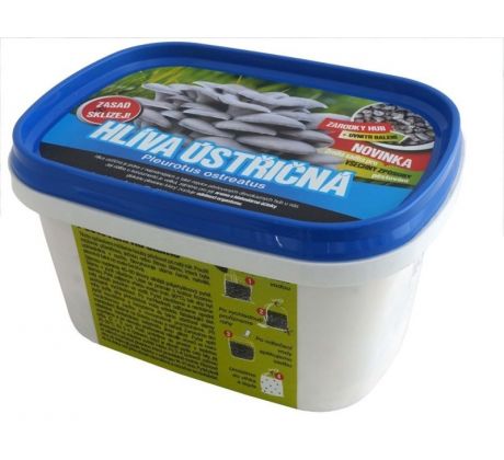 Hlíva ústřičná 450ml
