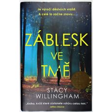 Záblesk ve tmě - Stacy Willingham