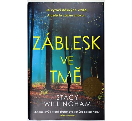 Záblesk ve tmě - Stacy Willingham