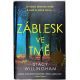Záblesk ve tmě - Stacy Willingham