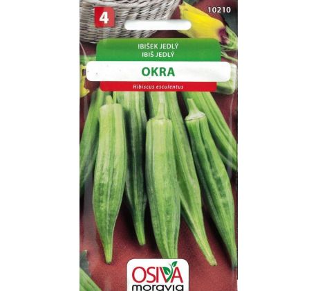 Ibišek jedlý OKRA