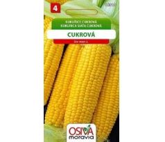 Kukuřice cukrová