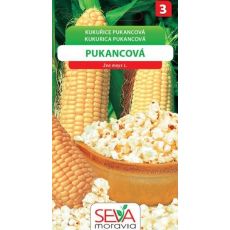 Kukuřice pukancová