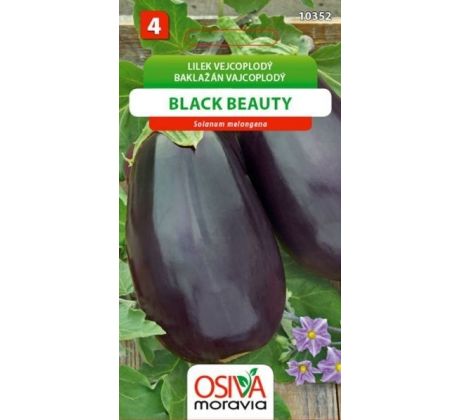 Lilek vejcoplodý BLACK BEAUTY
