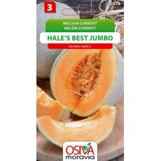 Meloun cukrový HALES BEST JUMBO