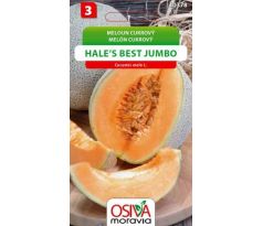 Meloun cukrový HALES BEST JUMBO