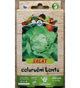 Celoroční salát Lento - pásek