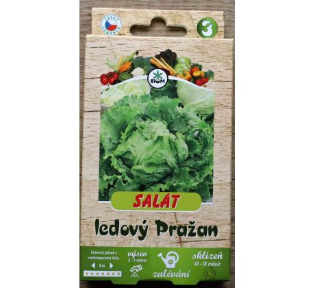 Salát ledový PRAŽAN - pásek