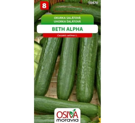 Salátová okurka BETH ALPHA