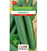Salátová skleníková okurka CARUSO F1
