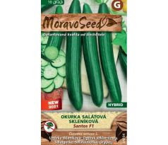 Salátová okurka SANTOS F1