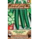Salátová okurka SANTOS F1