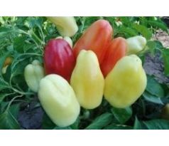Paprika zeleninová BONETA