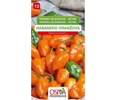 Paprika zeleninová HABANERO oranžová