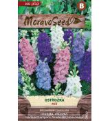 Ostrožka - SMĚS BAREV