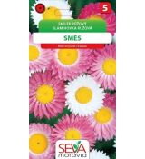 Smilek růžový směs (růžová,bílá)