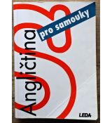 Angličtina pro samouky - Ludmila Kollmannová