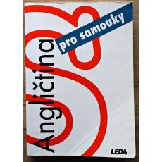 Angličtina pro samouky - Ludmila Kollmannová