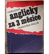 Anglicky za 3 měsíce - František Malíř