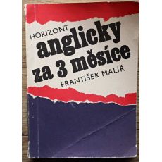 Anglicky za 3 měsíce - František Malíř