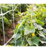 Podpůrná síť - 2x5m