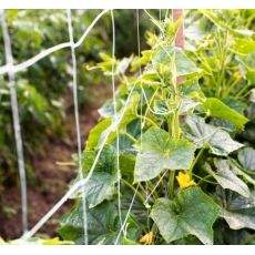 Podpůrná síť - 2x5m