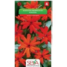 Kohoutek arkwrightův