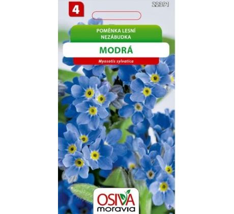 Pomněnka lesní/ Indigo compacta modrá