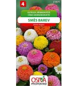 Ostálka jiřinkokvětá směs